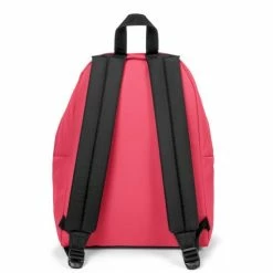 Beste recensies van 😍 Top 10 ⌛ Eastpak Padded Pak'r - Rugzak - Wild Pink 🌟 ⌛ -Tassen-dames Verkoop 550x550 428