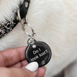 Hete verkoop โจ Kopen โจ QRing Travel Tag Met QR-code En NFC (small) | Voor Al Jouw Voorwerpen | Anoniem, Makkelijk En Veilig | LOST ITEM WE GOT YOU! |Zwart ๐ฏ ๐