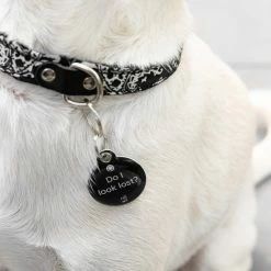 Hete verkoop ✨ Kopen ✨ QRing Travel Tag Met QR-code En NFC (small) | Voor Al Jouw Voorwerpen | Anoniem, Makkelijk En Veilig | LOST ITEM WE GOT YOU! |Zwart 💯 🔔 -Tassen-dames Verkoop 550x826 11